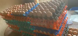 Fresh Eggs
