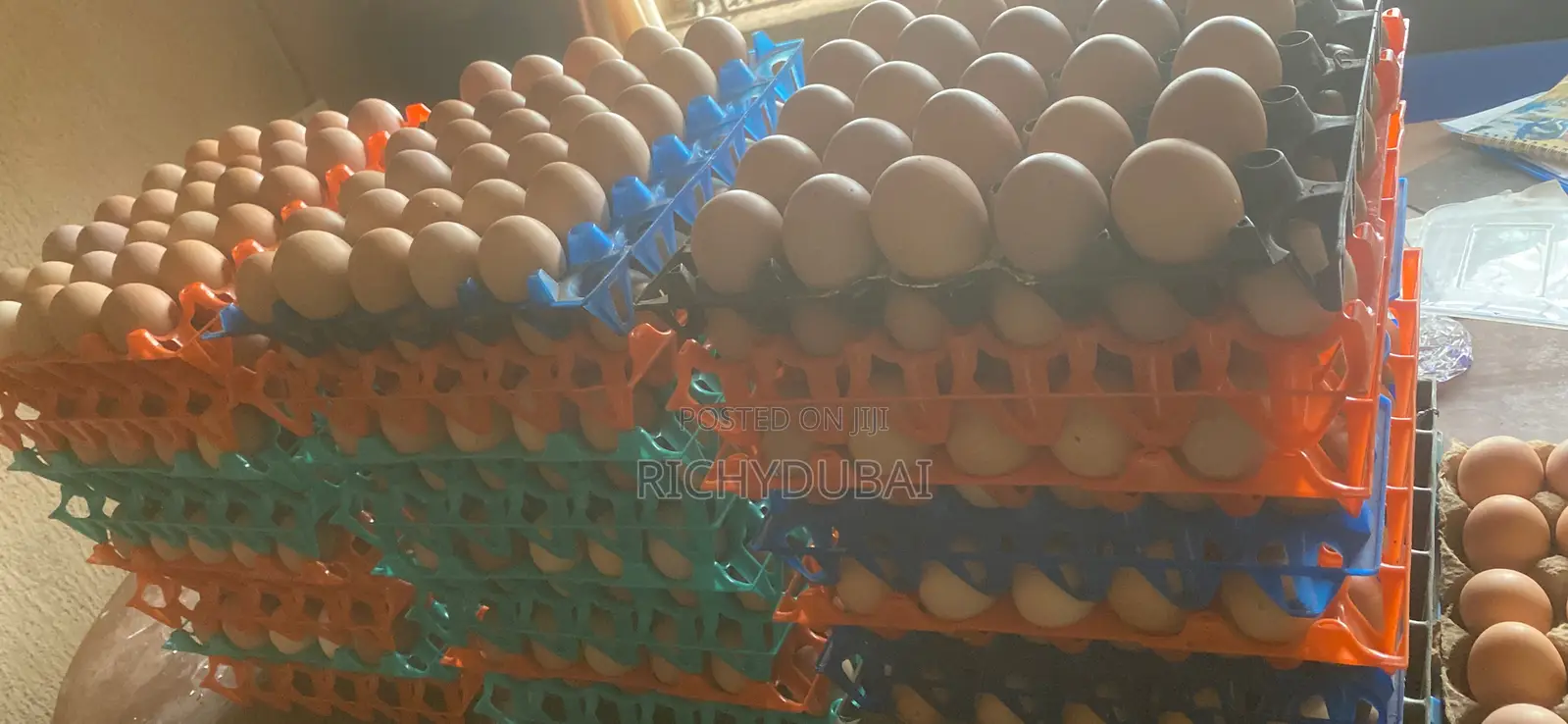 Fresh Eggs