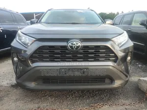 Toyota RAV4 XLE AWD 2020 Gray
