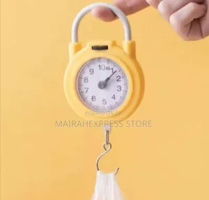 Portable High Precision Home Spring Scale