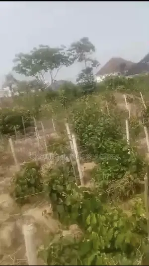 Two Plot Land at Alagbaka Extension