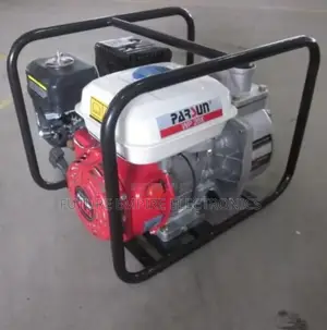 Original Wp20x Parsun Water Pump 2inche Can Use for Farm