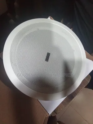 Professional Dart Celling Speaker 40 Watts