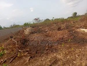 ( 1) Plot of Land Fase for Sale (From Direct Owner