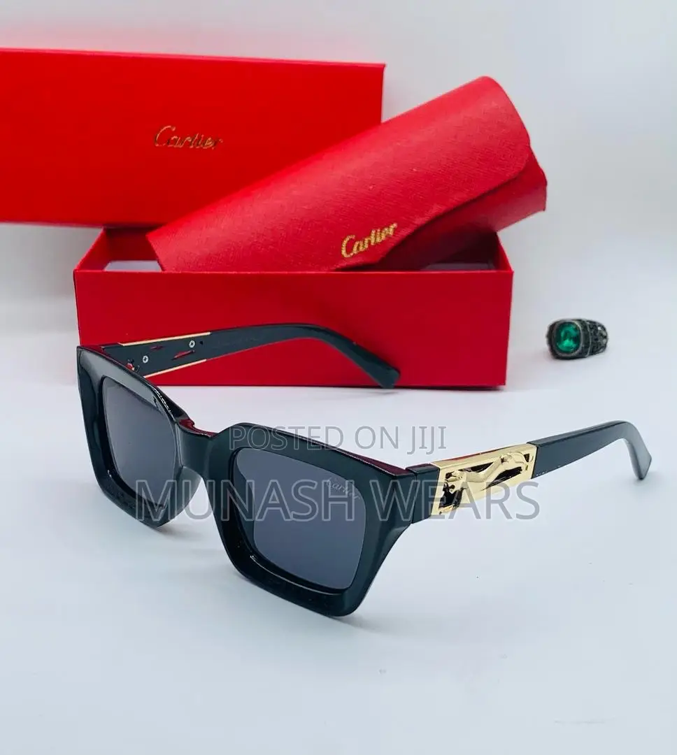 Feragamo Luxury Glasses