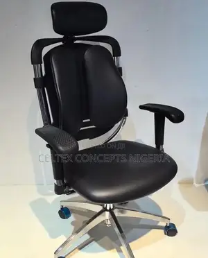 Ergonomic Office Chair With Headrest
