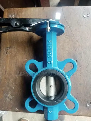 2 Inch Cast Iron Wafer Type Butterfly Valve