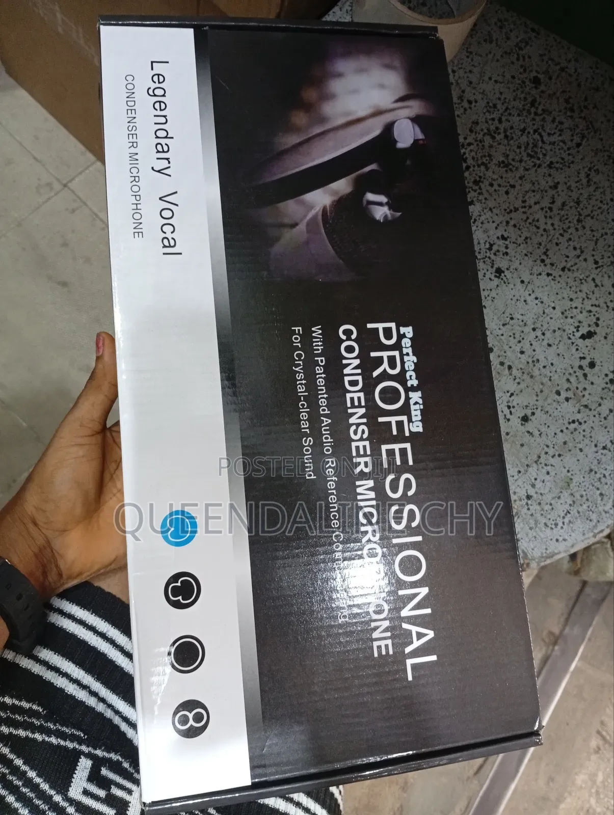 Professional Condenser Microphone Set