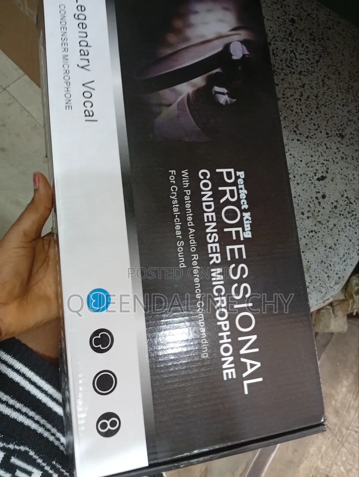 Professional Condenser Microphone Set