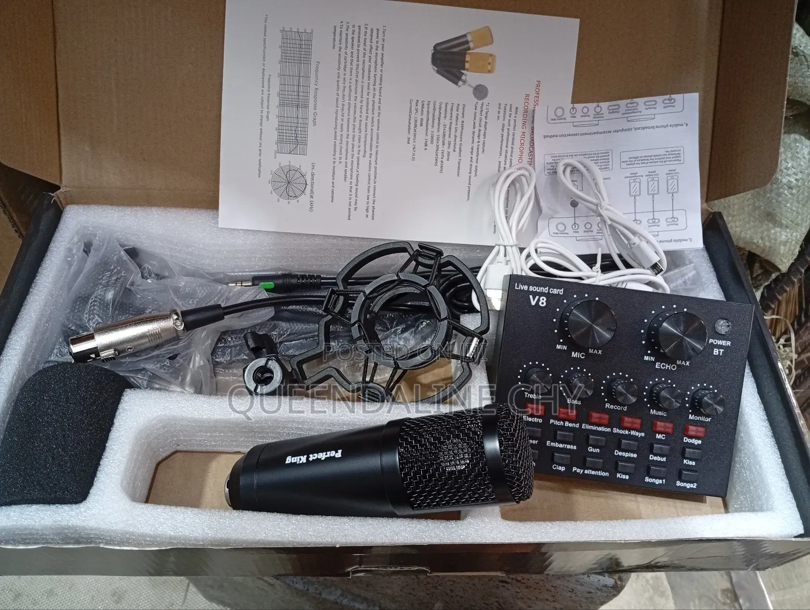 Professional Condenser Microphone Set