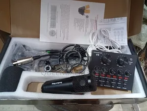 Professional Condenser Microphone Set