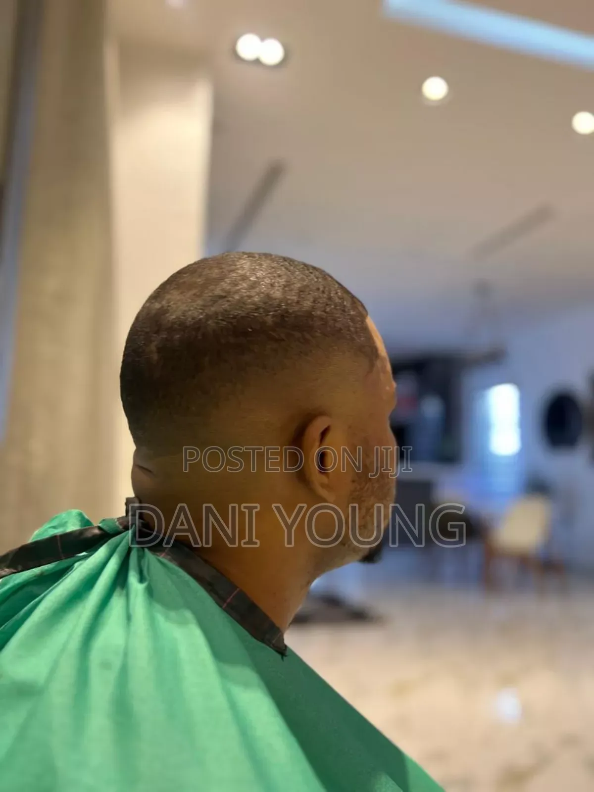 Professional Barber