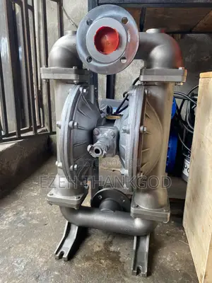 3" Wilden Pump Stainless