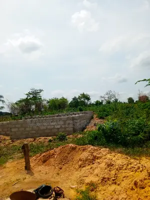 Photo - Full Plot of Land Oloro Ido With Registered Survey