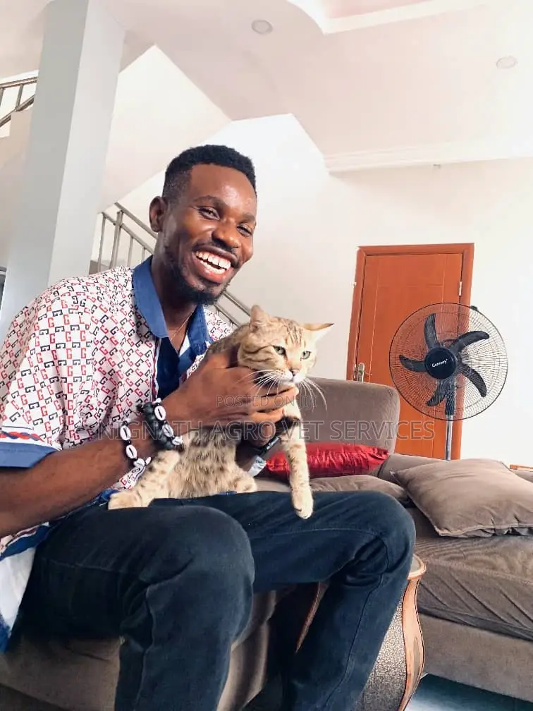 Veterinary Doctor