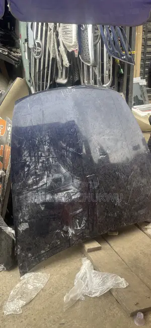 Toyota Lexus Lx 460 07-012 (Body Spare Parts)