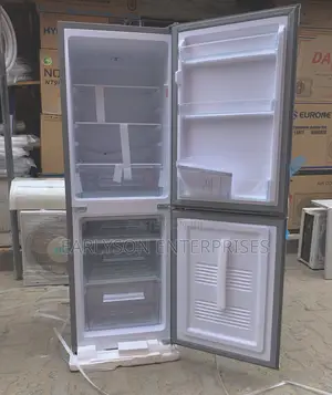 Skyrun Double Door Fridge and Freezer