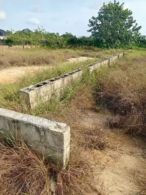 Affordable Land, Palm Grove, Otuoke Rd Bayelsa
