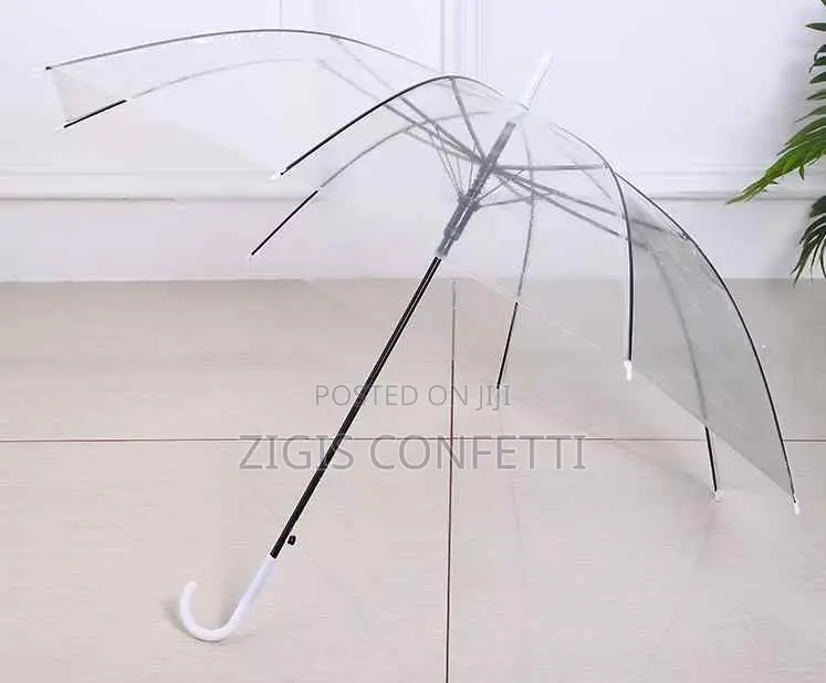 Transparent Plastic Clear Umbrella