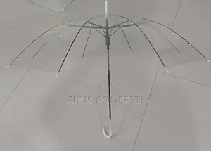 Transparent Plastic Clear Umbrella