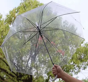 Transparent Plastic Clear Umbrella