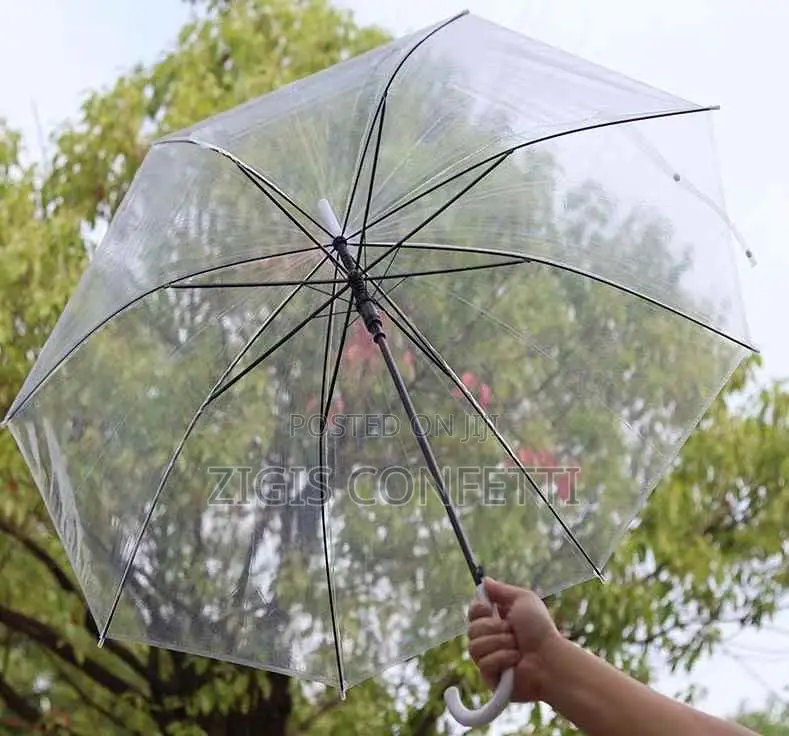 Transparent Plastic Clear Umbrella