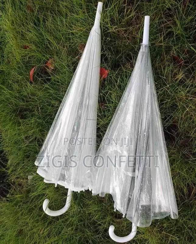 Transparent Plastic Clear Umbrella