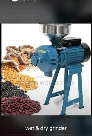 Wet and Dry Grinder