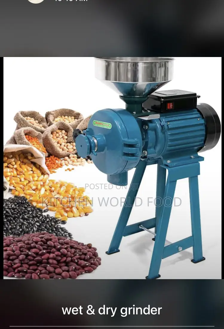 Wet and Dry Grinder