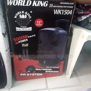 Worldking 5000watts 15inches Pa System Big Battery