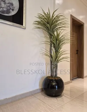 180cm Yucca Potted With 25cm Round Ball Fiberglass Pot