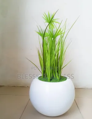 60cm Reed Grass Potted With 25cm Round Ball Fiberglass Pot
