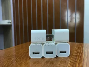 Original Apple iPhone Charger