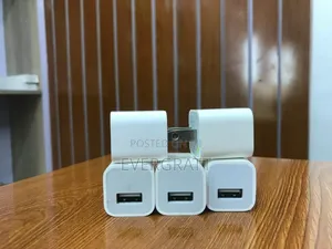 Original Apple iPhone Charger