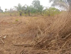 A Land of 1600 SQM at Ugwuomu Nike Enugu Good 4 Hostel at 15m