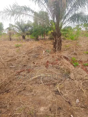 10 Plots at Blue Lake Estate Ugwuomu Nike for Sale at 2m Each.