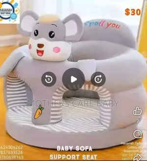Baby Seater Teach Your Baby to Seat