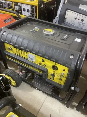 Senwei Spg6800e2 Copper Coil Automatic Generator 3.5kva