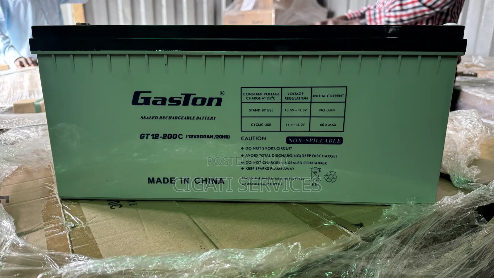 Gaston Inverter Battery