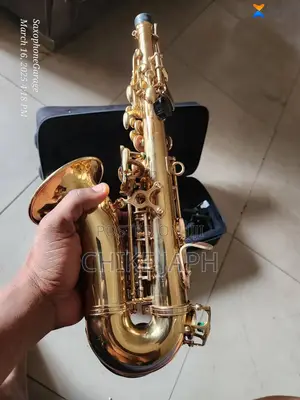 Photo - Curved Soprano Saxophone