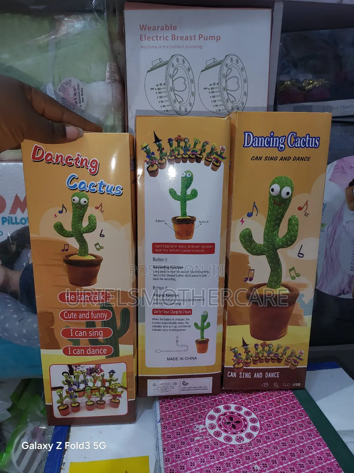 Dancing Cactus