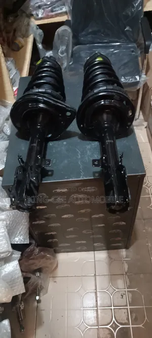 Complete Shock Absorber Toyota Camry Avalon Ex350 2014 Rear