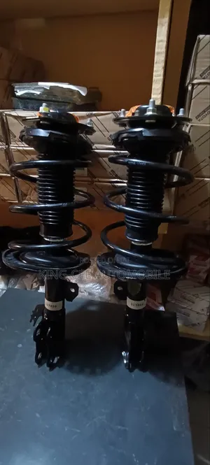 Complete Shock Camry Avalon and Es350 2014 Front