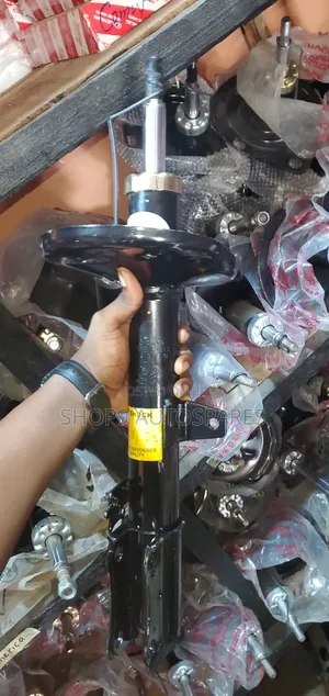 Shock Absorbers for All Cars