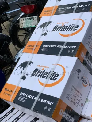 100ah 12v Britelite Dry Cell Battery