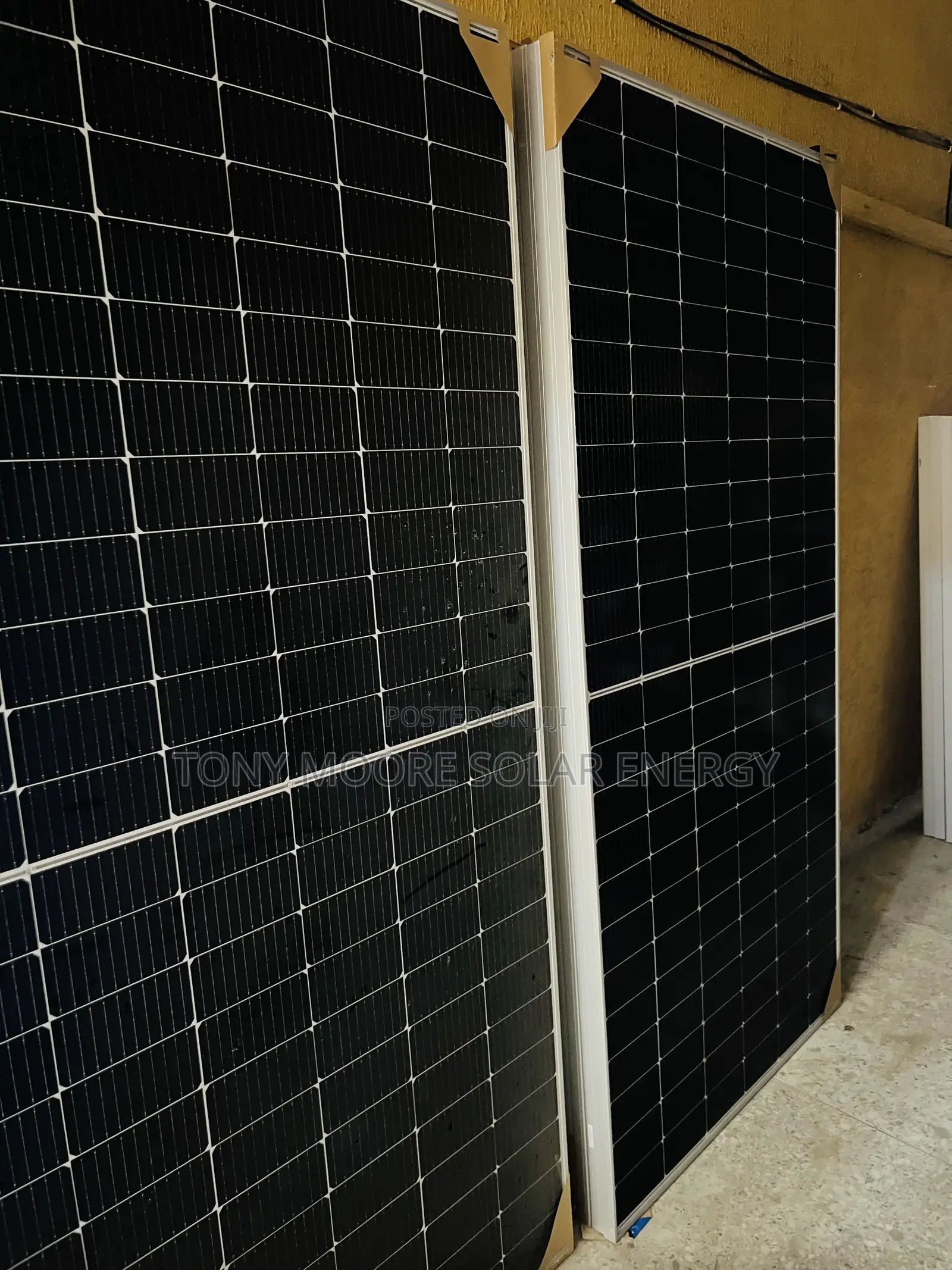 555w Jinko Solar Panel