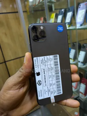 Apple iPhone 11 Pro Max 256 GB Gray