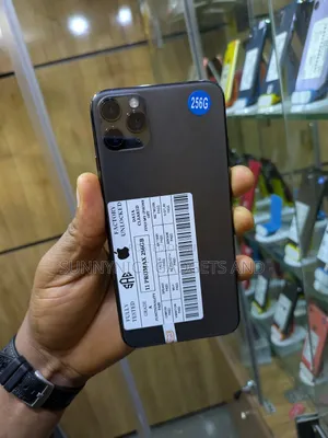 Apple iPhone 11 Pro Max 256 GB Gray