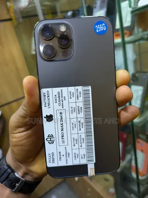 Apple iPhone 12 Pro Max 256 GB Gray