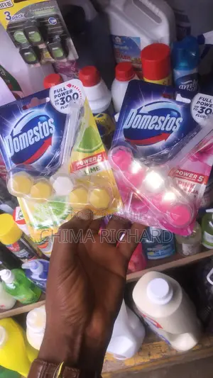 Domestos Toilet Freshener